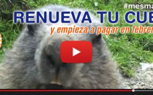 Renovar los colchones en el Mes de la Marmota