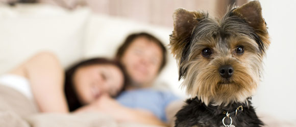 Que nos quita el sueño