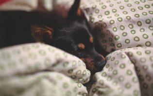 Calidad del sueño: Cómo mejorarla