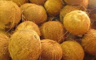 Colchón de fibra de coco para bebés: una gran opción