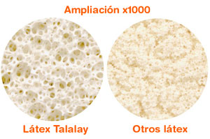 latex talalay